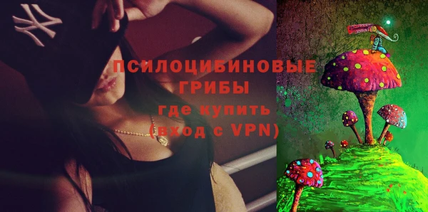 спиды Алексеевка