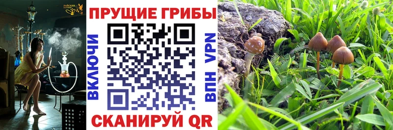 Псилоцибиновые грибы Cubensis Оханск